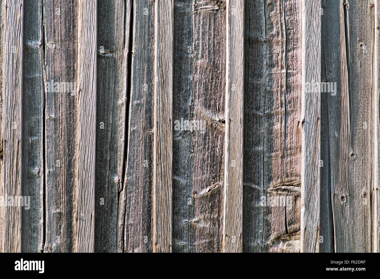 Close-up of historic Thomas Murphy barn siding ; Moulton Homestead (c 1910) ; Mormon Row Historic District ; Le Grand Teton Nat'l. Pk Banque D'Images