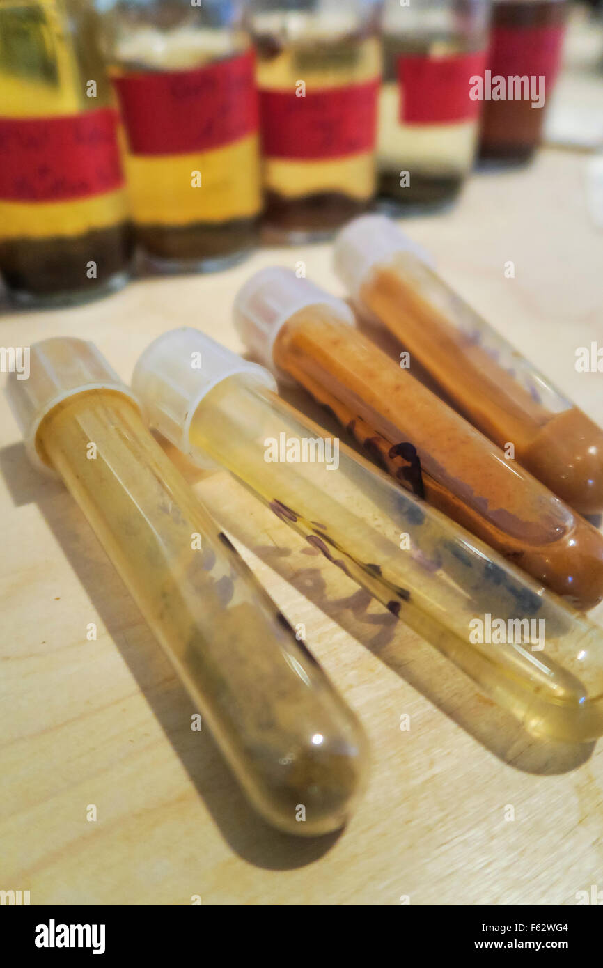 Jardin Public de Wave Hill dans le Bronx, New York, USA Banque D'Images