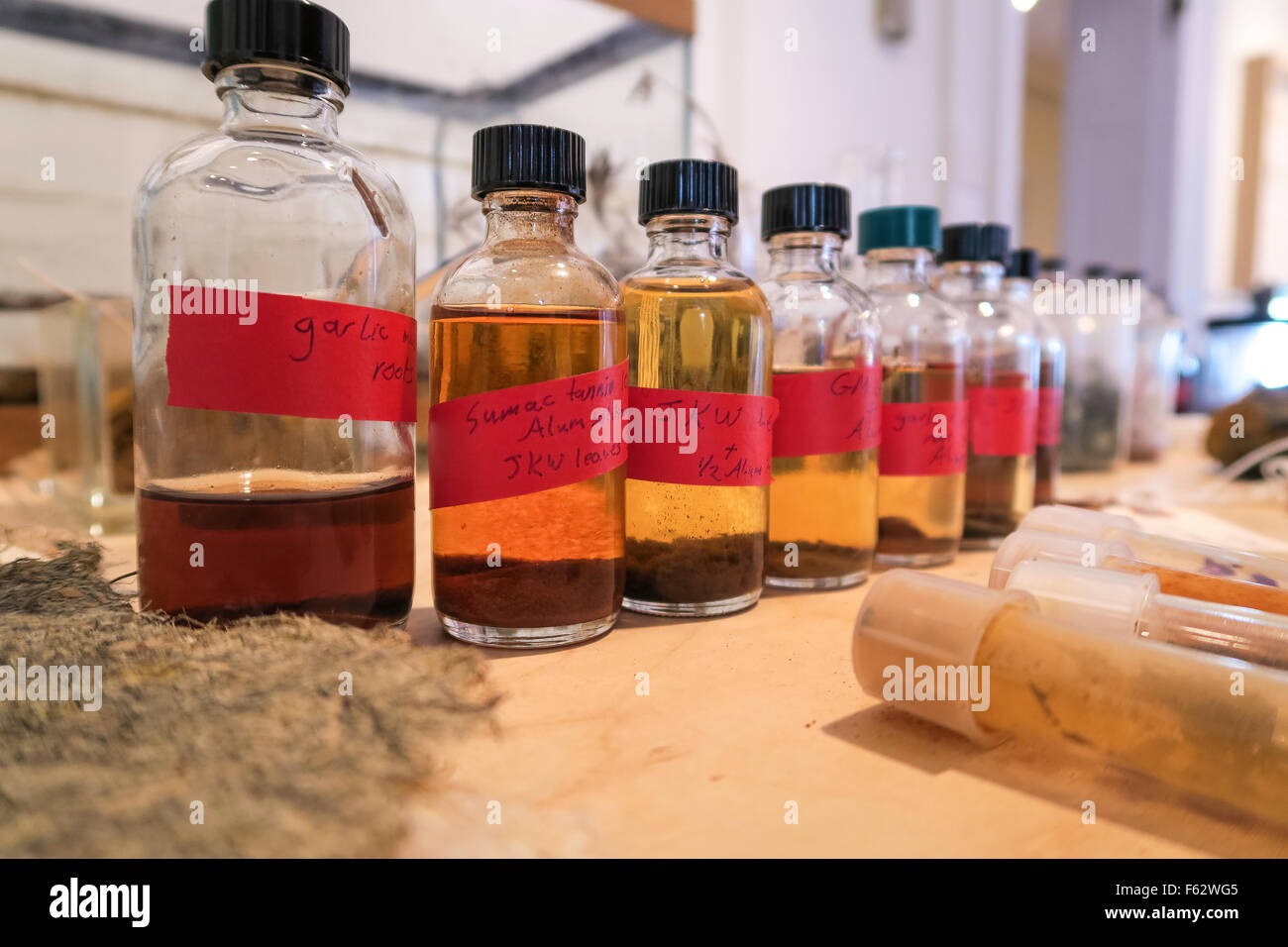 Jardin Public de Wave Hill dans le Bronx, New York, USA Banque D'Images