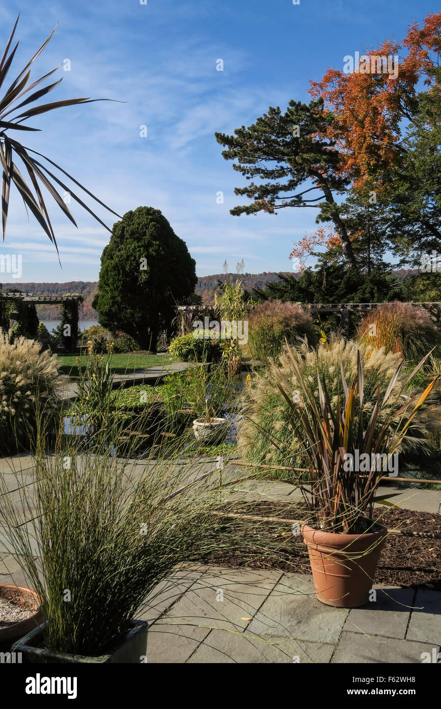 Jardin aquatique au Jardin Public de Wave Hill dans le Bronx, New York, USA Banque D'Images