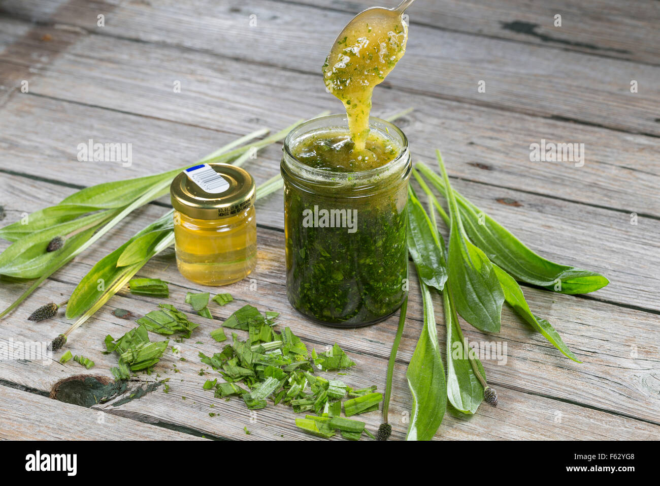 Plantain Lancéole, anglais, miel, Honig, Spitzwegerich Hustensaft Spitz-Wegerich,,, Plantago lanceolata, Hustensirup Banque D'Images