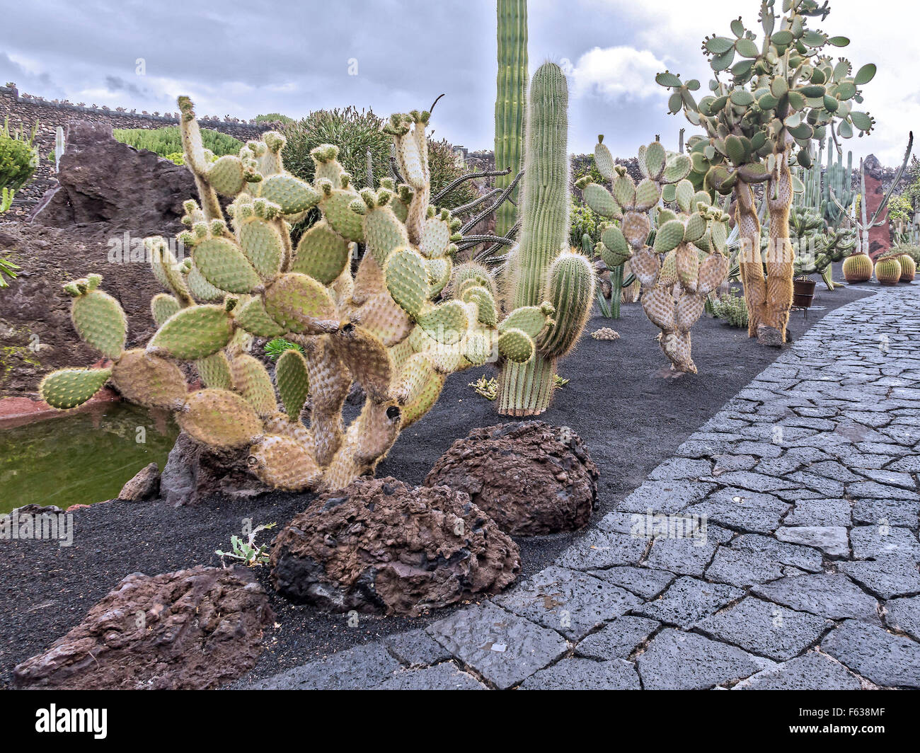 Guatiza jardin de cactus Lanzarote Iles Canaries Banque D'Images