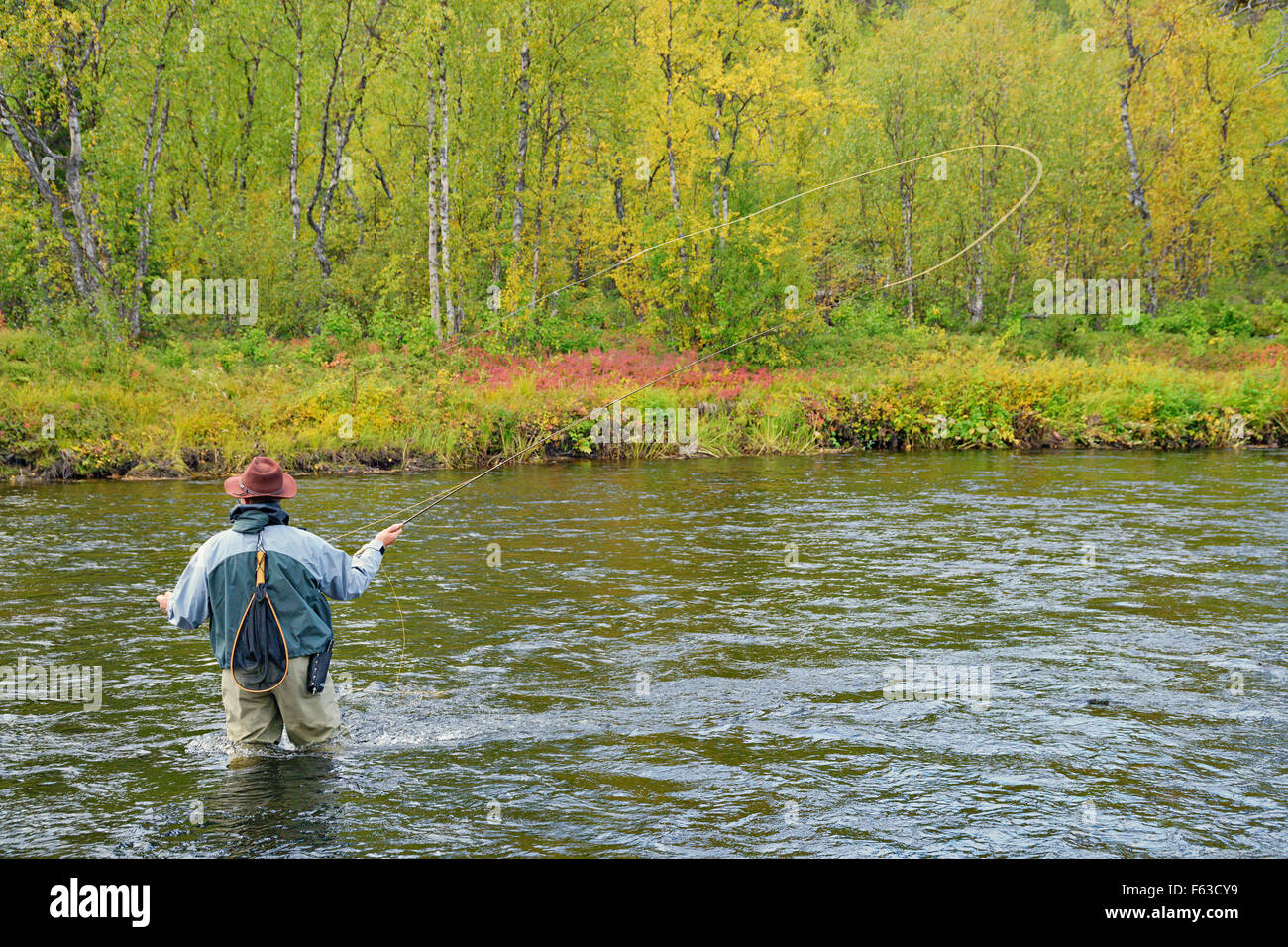 La pêche de mouche pour la truite et l'ombre à Nuortti River, le Parc National Urho Kekkonen, la Laponie. Banque D'Images