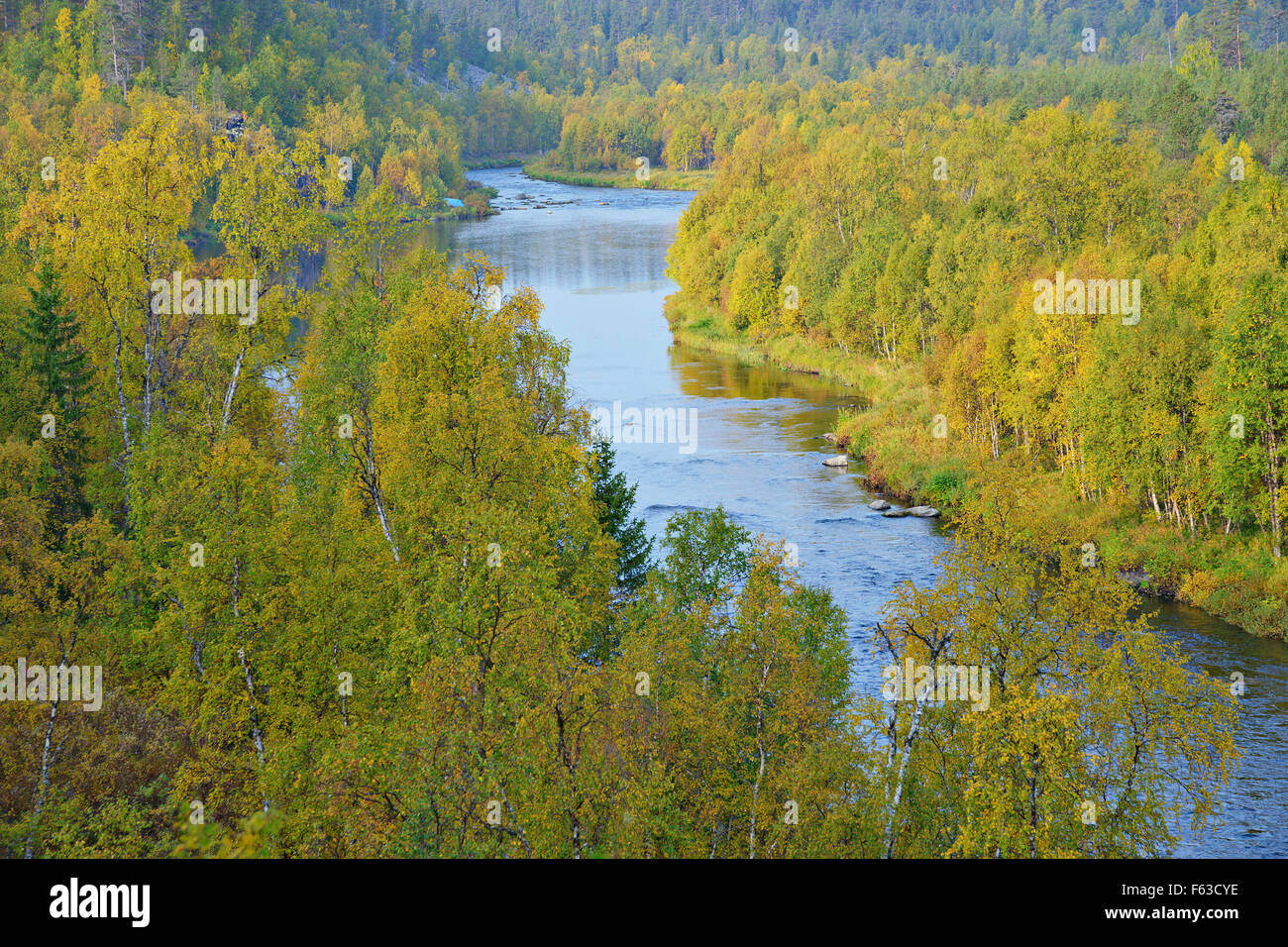 Nuortti River, le Parc National Urho Kekkonen, la Laponie. Banque D'Images