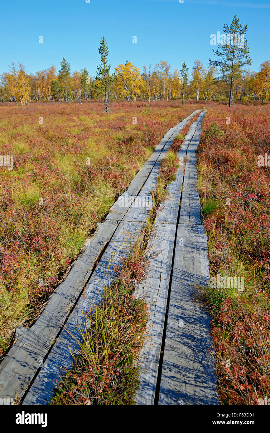 Couleurs d'automne au début de septembre. Route de trekking à chuté. Korvatunturi Le Parc National Urho Kekkonen, Laponie, Finlande. Banque D'Images