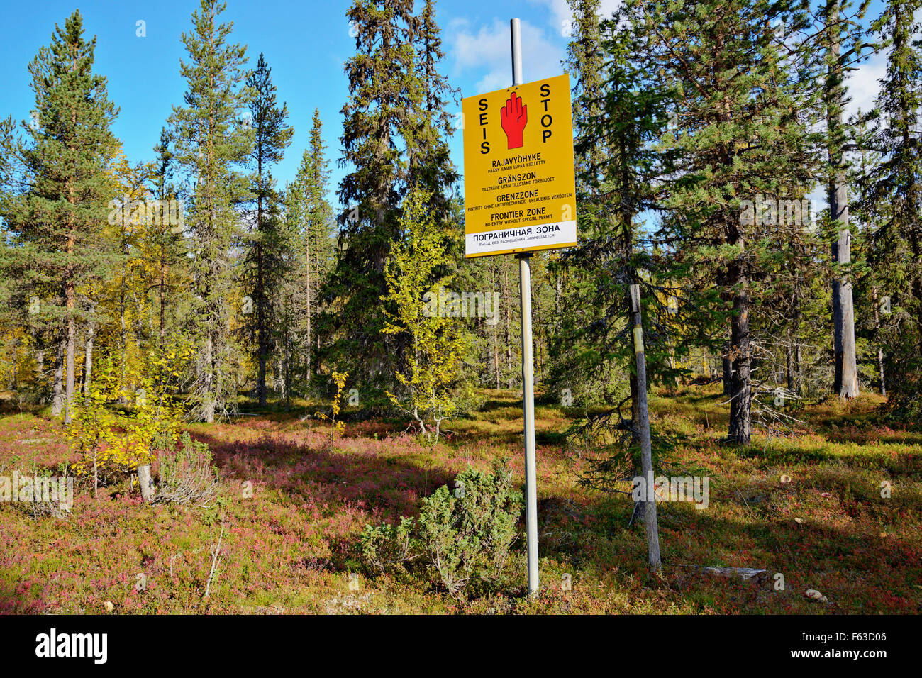 Couleurs d'automne au début de septembre. Zone de restriction sur la frontière russe. Le Parc National Urho Kekkonen, Laponie, Finlande. Banque D'Images