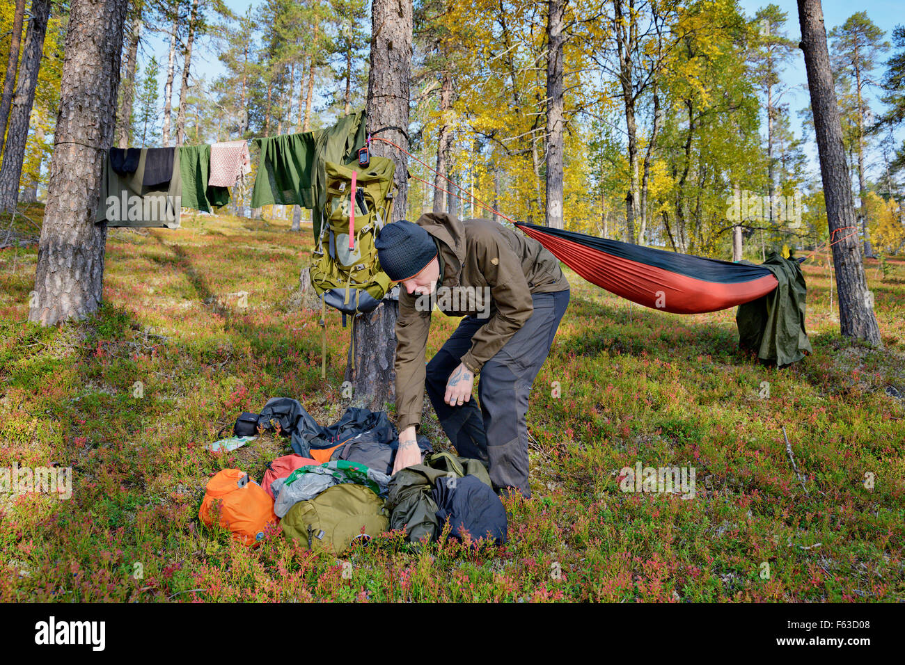 Trekker se préparer pour la nuit dans un hamac. Le Parc National Urho Kekkonen, Laponie, Finlande. Banque D'Images