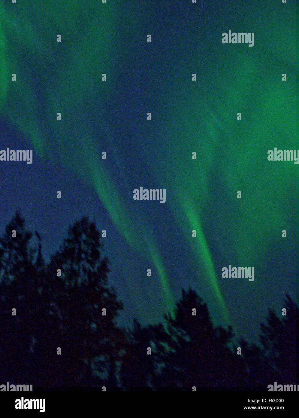 Northern Lights au début de septembre. Le Parc National Urho Kekkonen, Laponie, Finlande. Banque D'Images