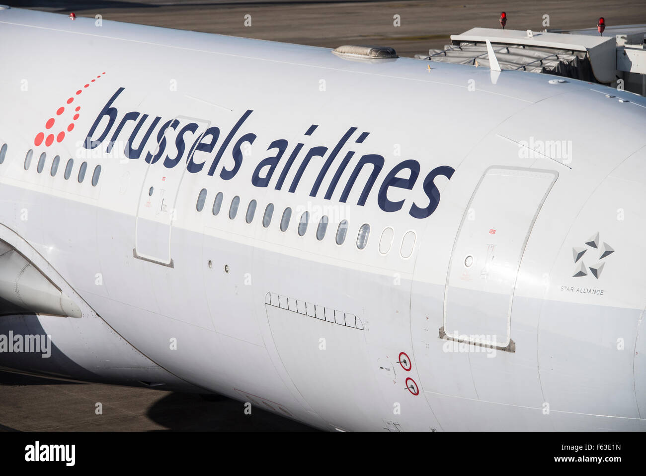 Logo de brussels airlines sur Airbus A330-223 OO-SFY à l'enregistrement à l'aéroport de Bruxelles Banque D'Images