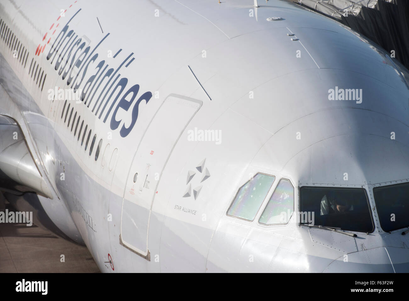 Brussels Airlines Airbus A330-223 OO-SFY à l'enregistrement à l'aéroport de Bruxelles Banque D'Images