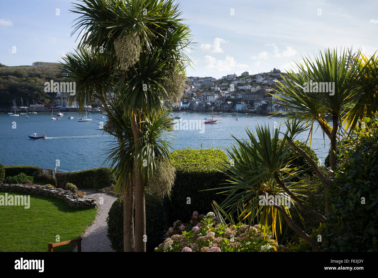 Palmiers à Fowey, Cornwall Banque D'Images