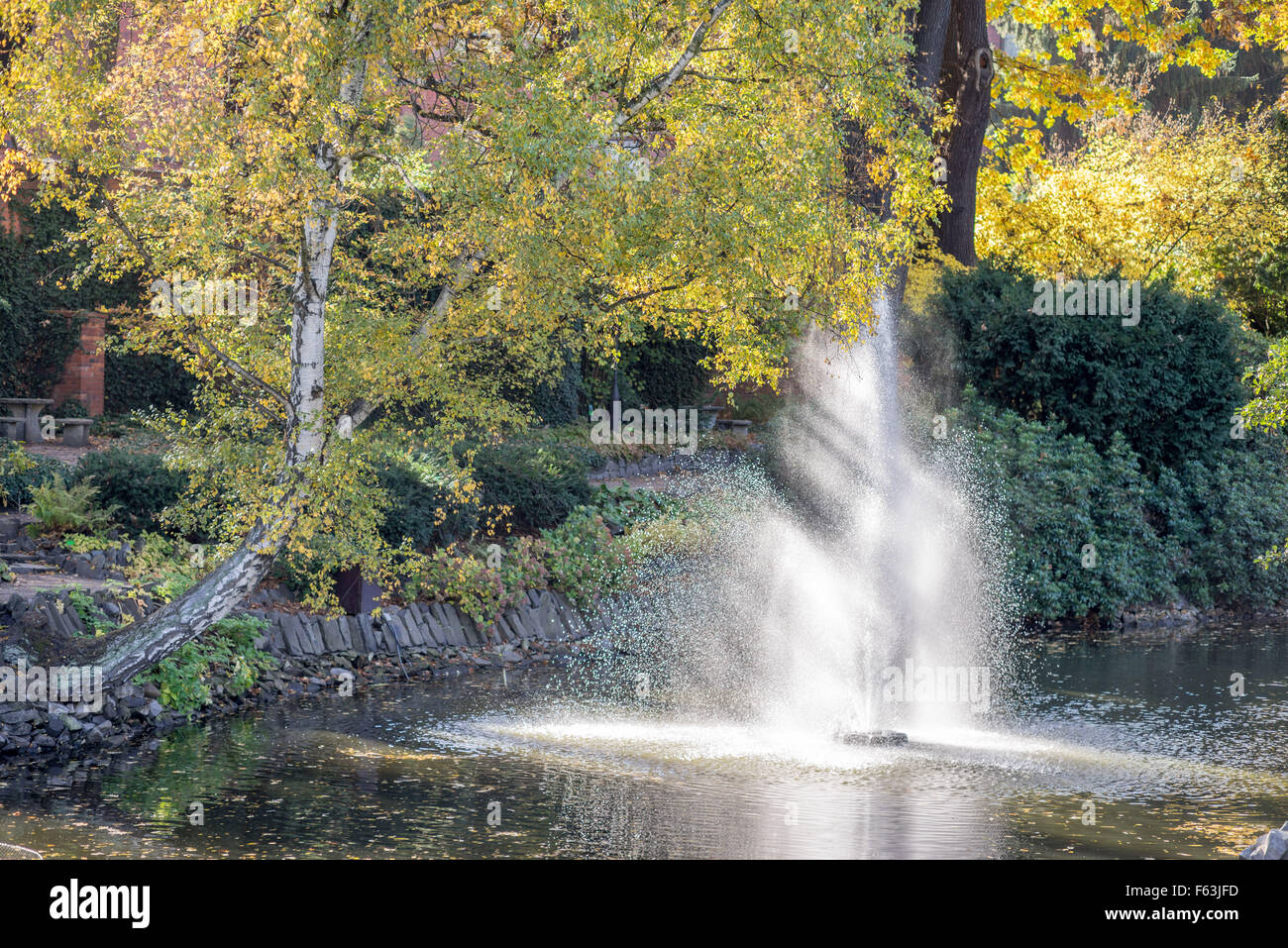 Jardins botaniques de couleurs d'automne Wroclaw Banque D'Images