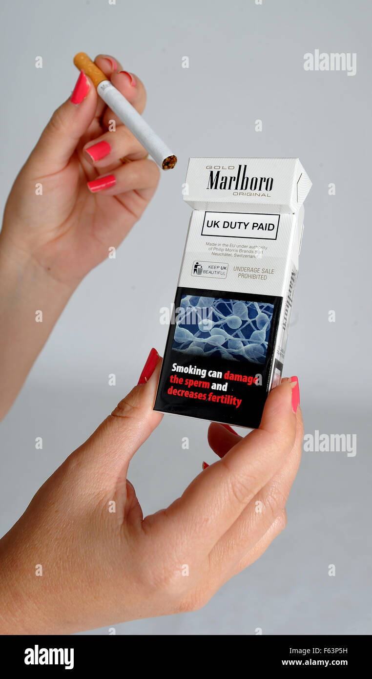 Les cigarettes Marlboro Gold filtre original porte un avertissement de  sant fumeurs peuvent endommager les spermatozodes et diminue la fertilit  Photo Stock - Alamy
