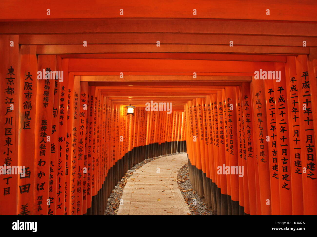 Tunnel de Torii et une lumière à Kyoto, Japon Banque D'Images