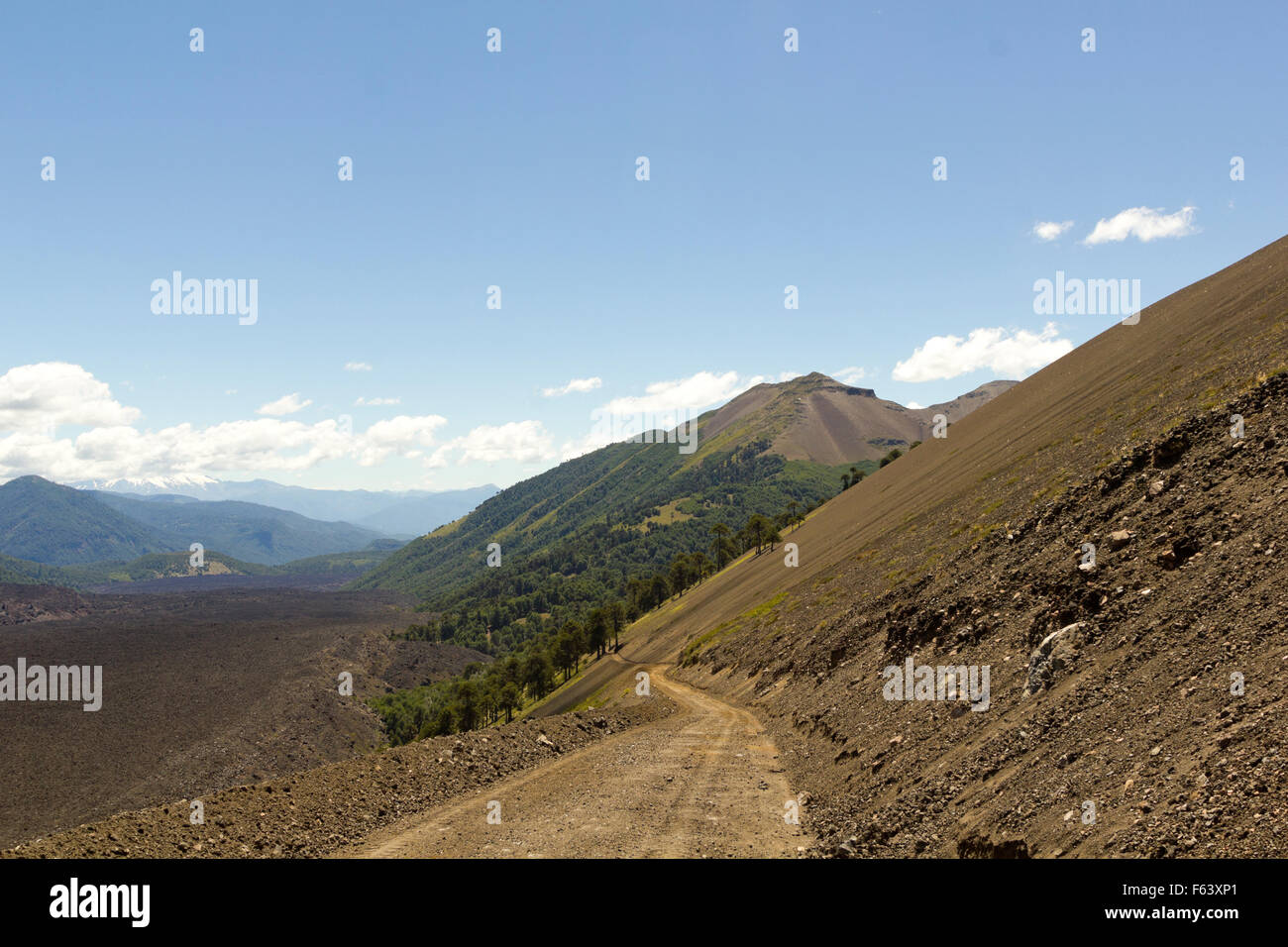 Malalcahuello Nalcas et Parc National, Chili Banque D'Images