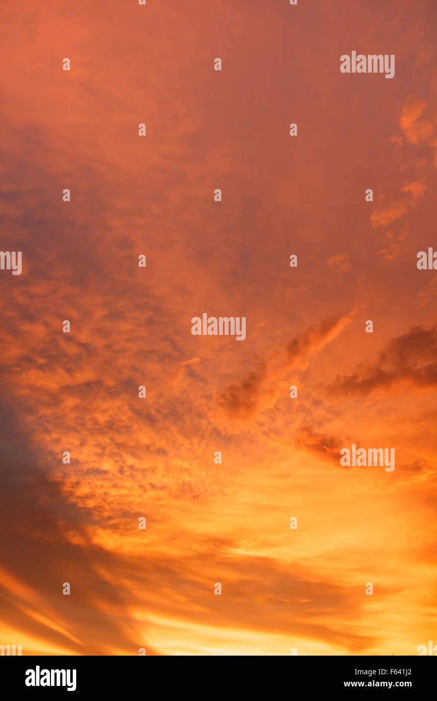 Couleur orange cloud texture de fond en soirée Banque D'Images