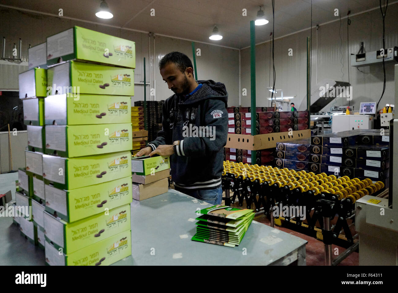 Vallée du Jourdain, en Cisjordanie. 11 novembre, 2015. Travailleur palestinien Medjool dates après le paquet le fruit est récolté à un Israélien en usine Masoah juive de peuplement dans la vallée du Jourdain en Cisjordanie, Israël le 11 novembre 2015. L'exécutif de l'Union européenne prévues le mercredi des lignes directrices pour l'étiquetage des produits des colonies israéliennes dans les territoires palestiniens occupés. Credit : Eddie Gerald/Alamy Live News Banque D'Images