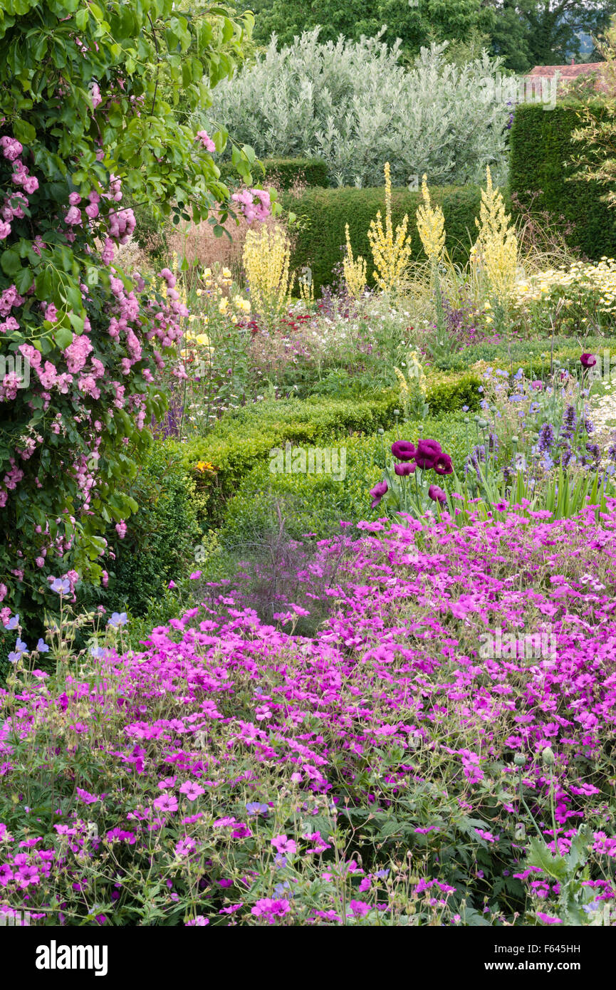 Great Dixter, East Sussex, UK - le jardin créé et rendu célèbre par Christopher Lloyd. Le Verger Jardin en été (juillet) Banque D'Images