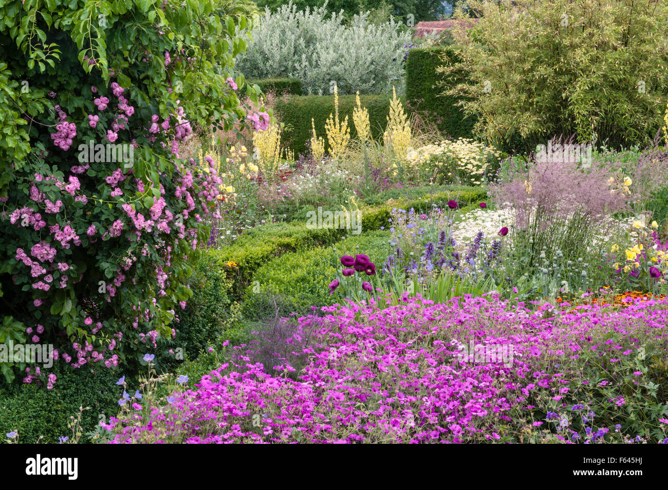 Great Dixter, East Sussex, UK - le jardin créé et rendu célèbre par Christopher Lloyd. Le Verger Jardin en été (juillet) Banque D'Images