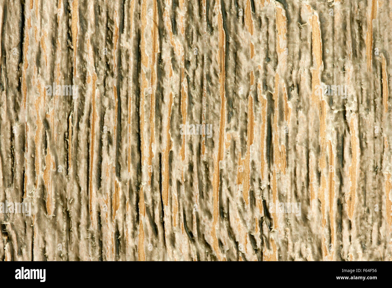 Close-up of obsolete surface en bois. La texture de fond ou Banque D'Images