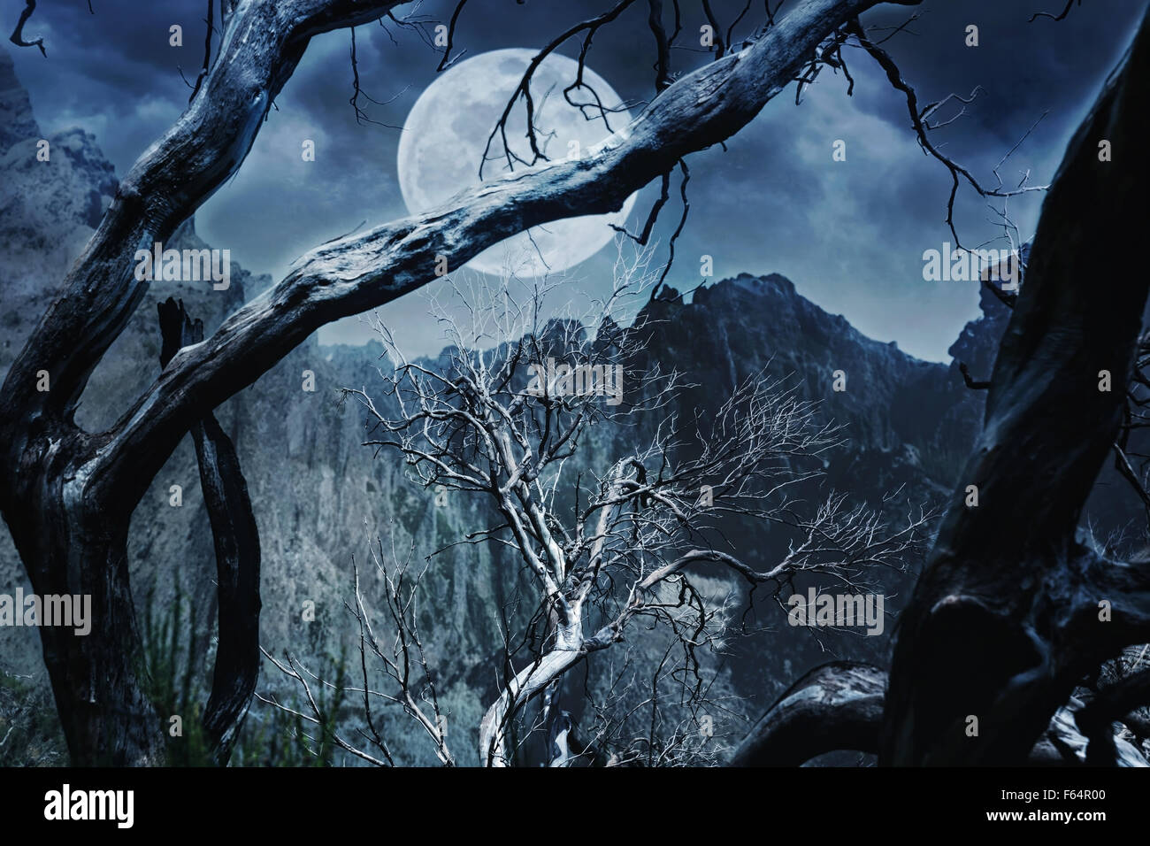 Horrible forêt la nuit dans la montagne Banque D'Images