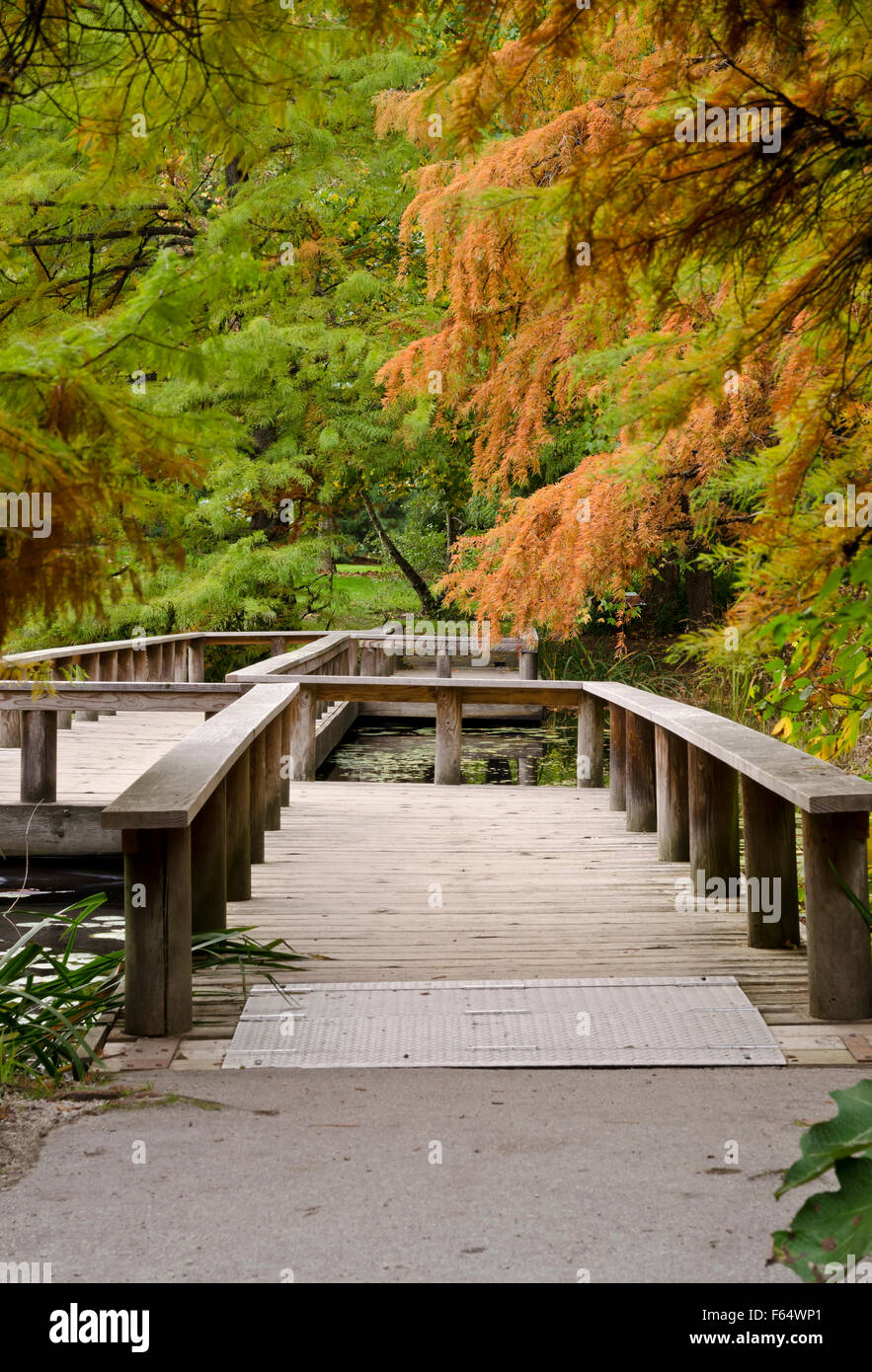 Pont de bois sur l'étang à Van Dusen Botanical Garden à Vancouver à l'automne. Banque D'Images