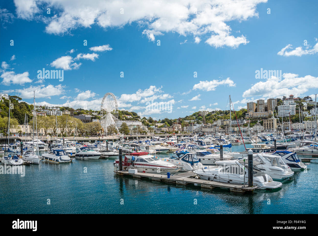 Vue sur le port et le port de plaisance de Torquay, Torbay, Angleterre, Royaume-Uni Banque D'Images