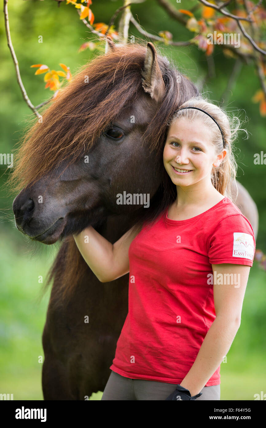 Cheval islandais. Girl standing next to bay étalon. L'Autriche Banque D'Images