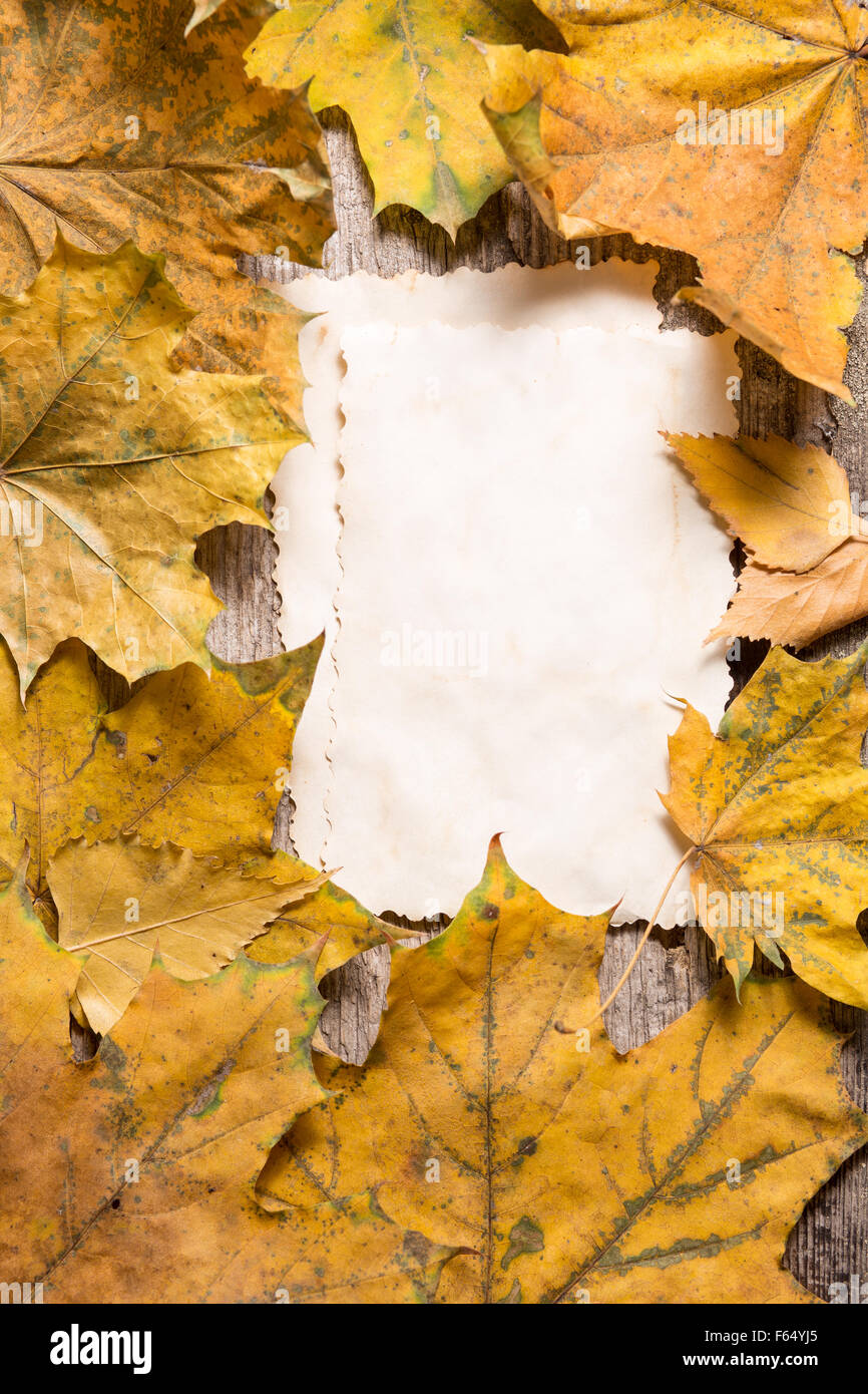 Cartes papier vierge vintage pour les notes sur les feuilles tombées. Voir l'image haut de page Banque D'Images