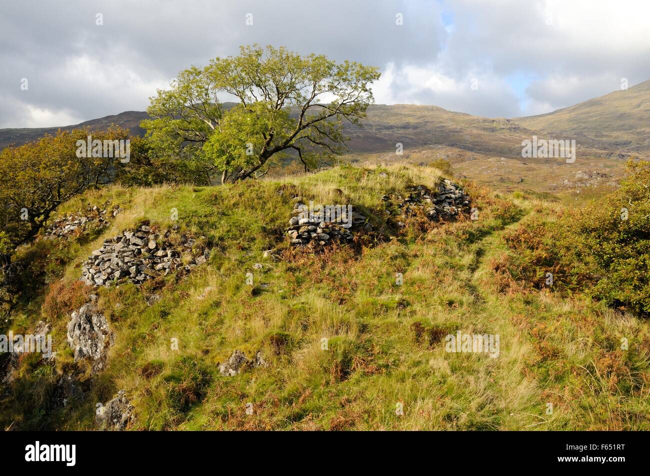 Dinas Emrys hill fort préhistorique parc Natioal Snowdonia Beddgelert Gwynedd au Pays de Galles Cymru UK GO Banque D'Images