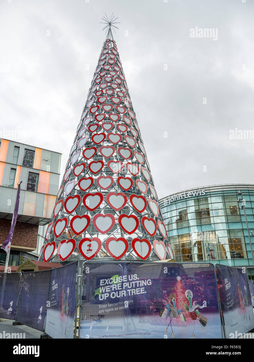 L'arbre de Noël le plus grand du Royaume-Uni en cours de construction au centre commercial Liverpool One à Liverpool. Banque D'Images