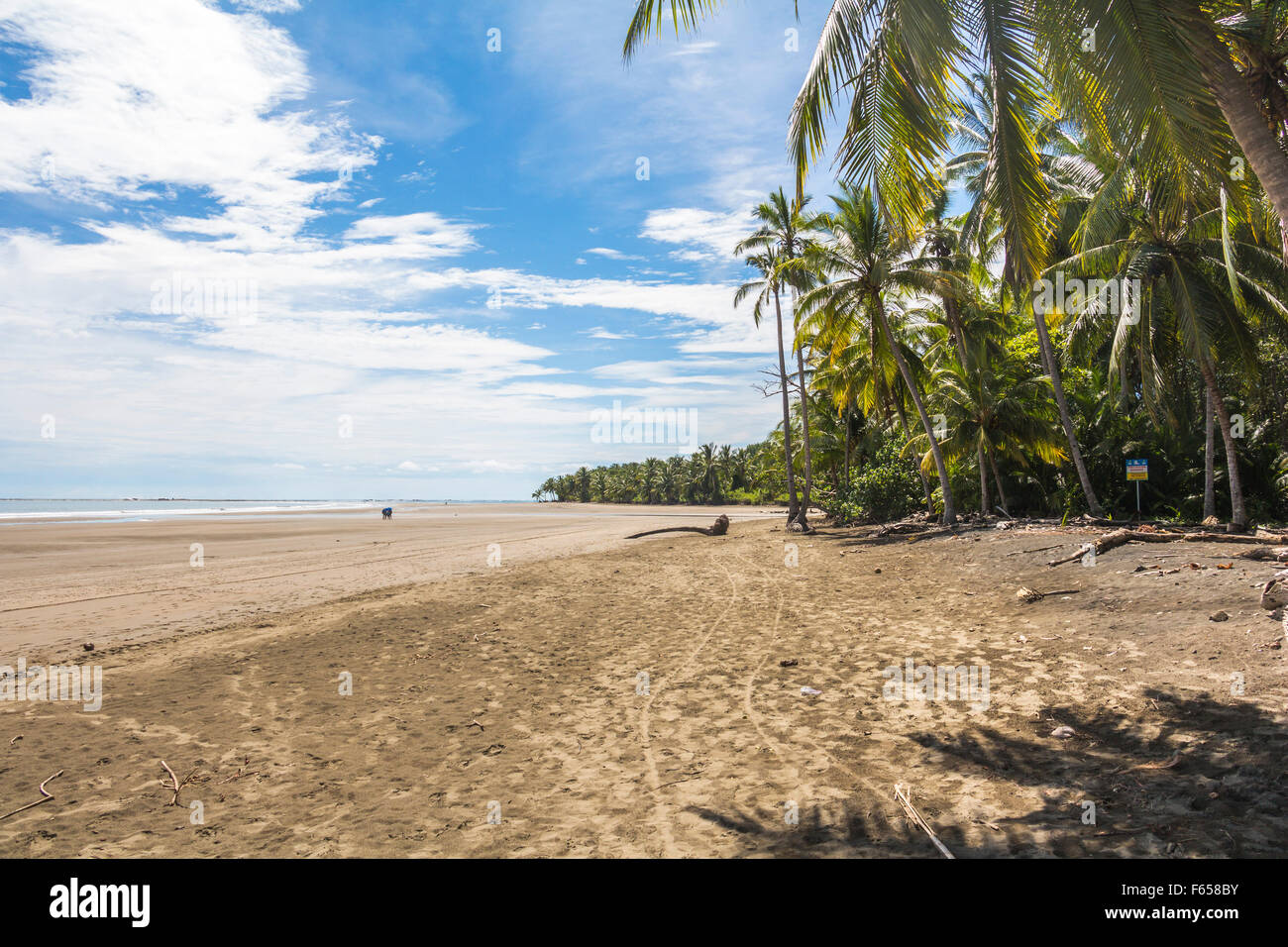 Plage dans le Parc Marino Ballena, Costa Rica Banque D'Images