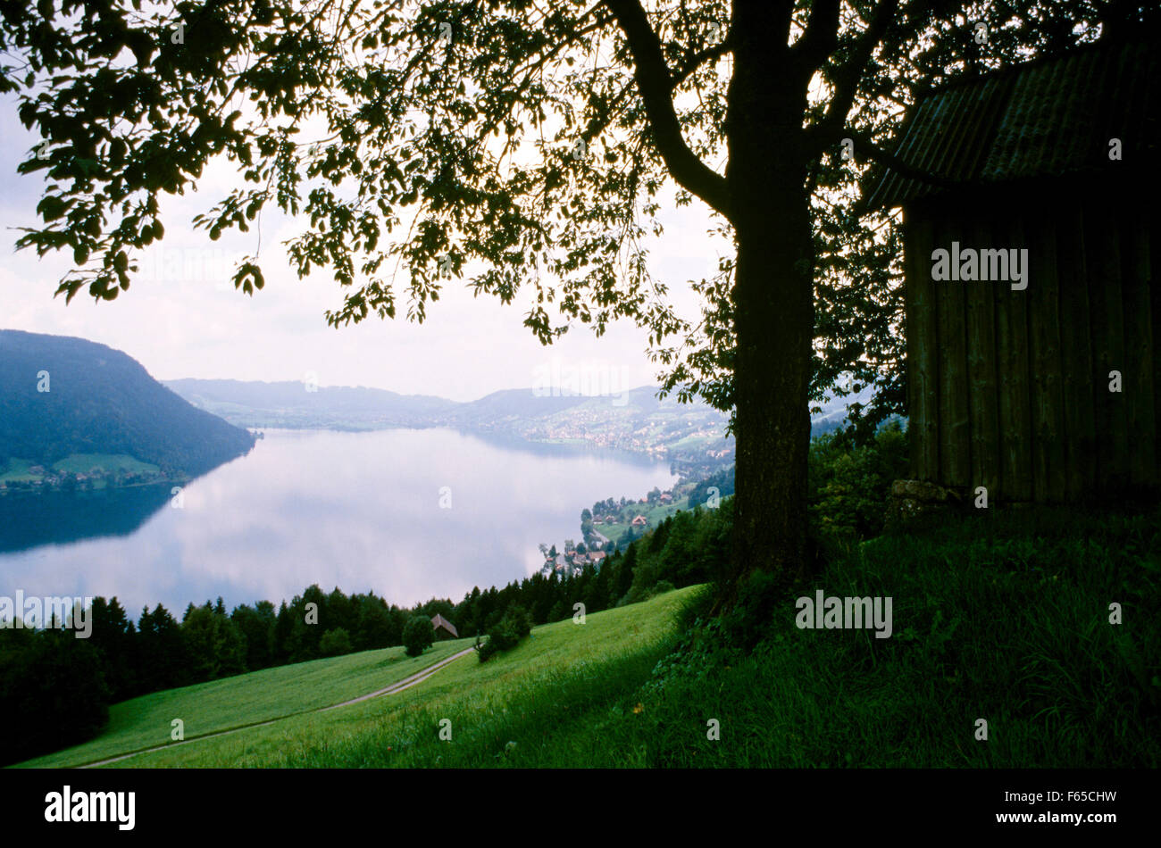 Voir d'Aegerisee lac entouré de collines, Suisse Banque D'Images