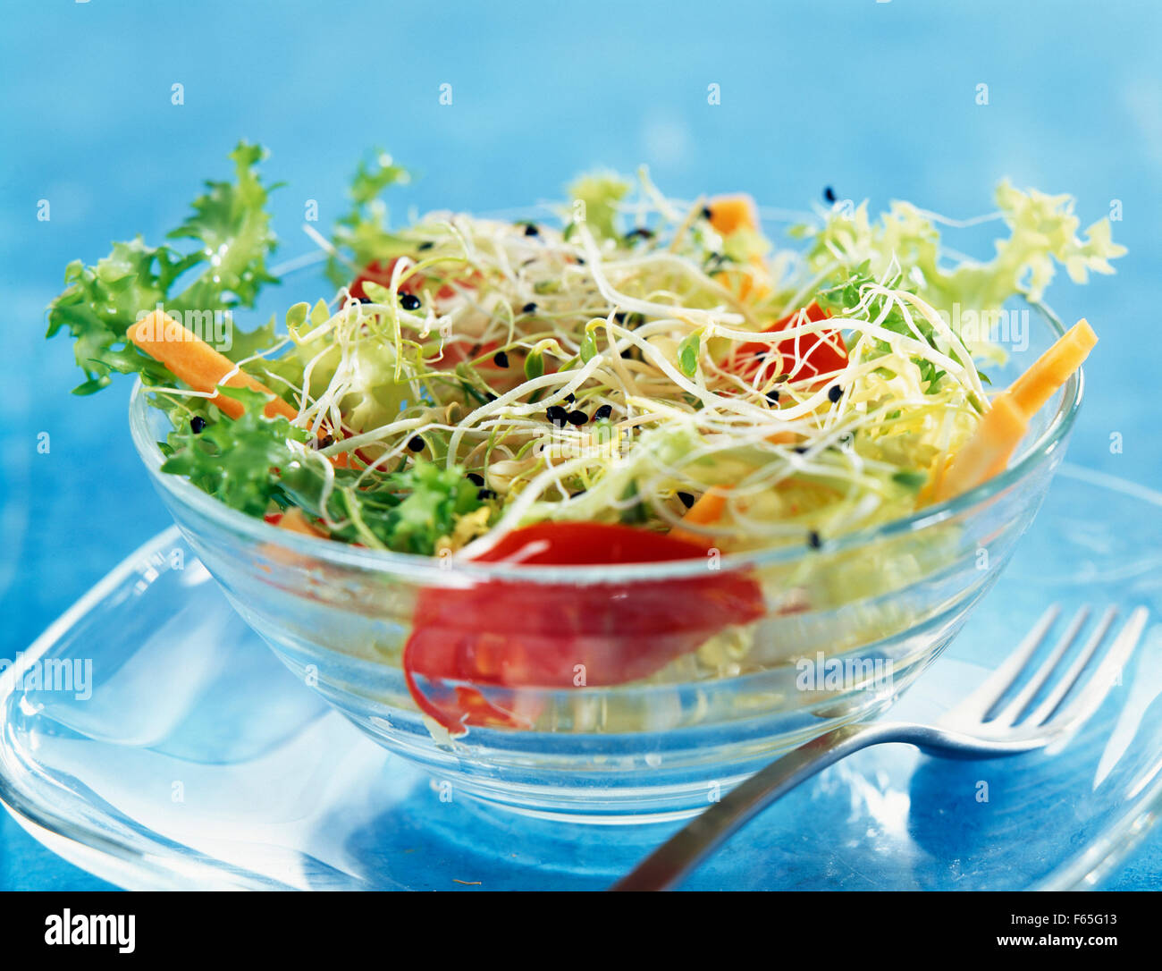 Différents types de salade de choux Photo Stock Alamy