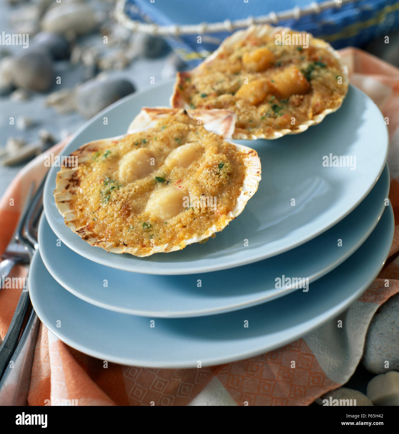 Coquilles Saint-Jacques Banque D'Images
