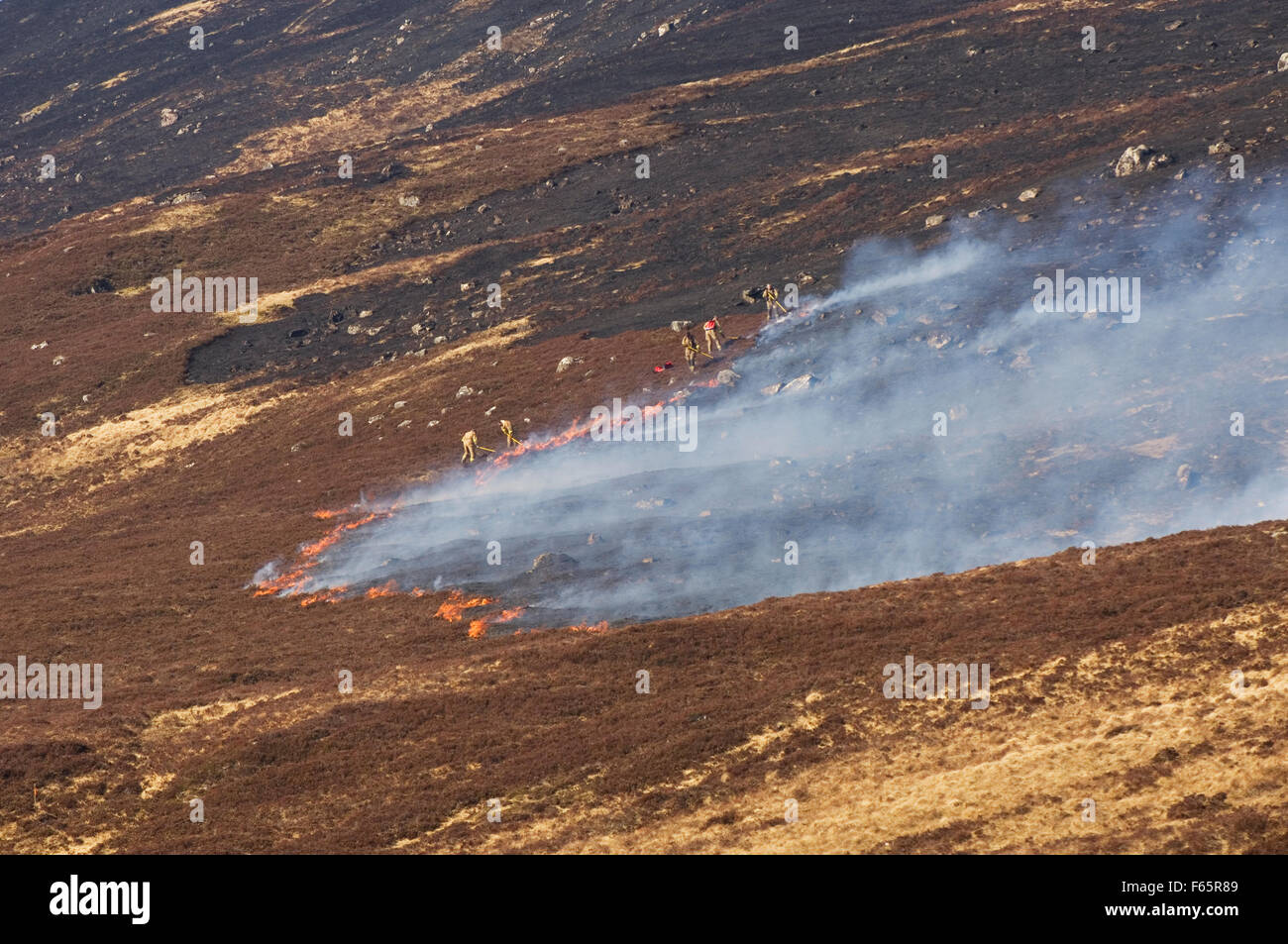 Les pompiers s'attaque à un feu de landes, Ross-shire, en Écosse. Banque D'Images