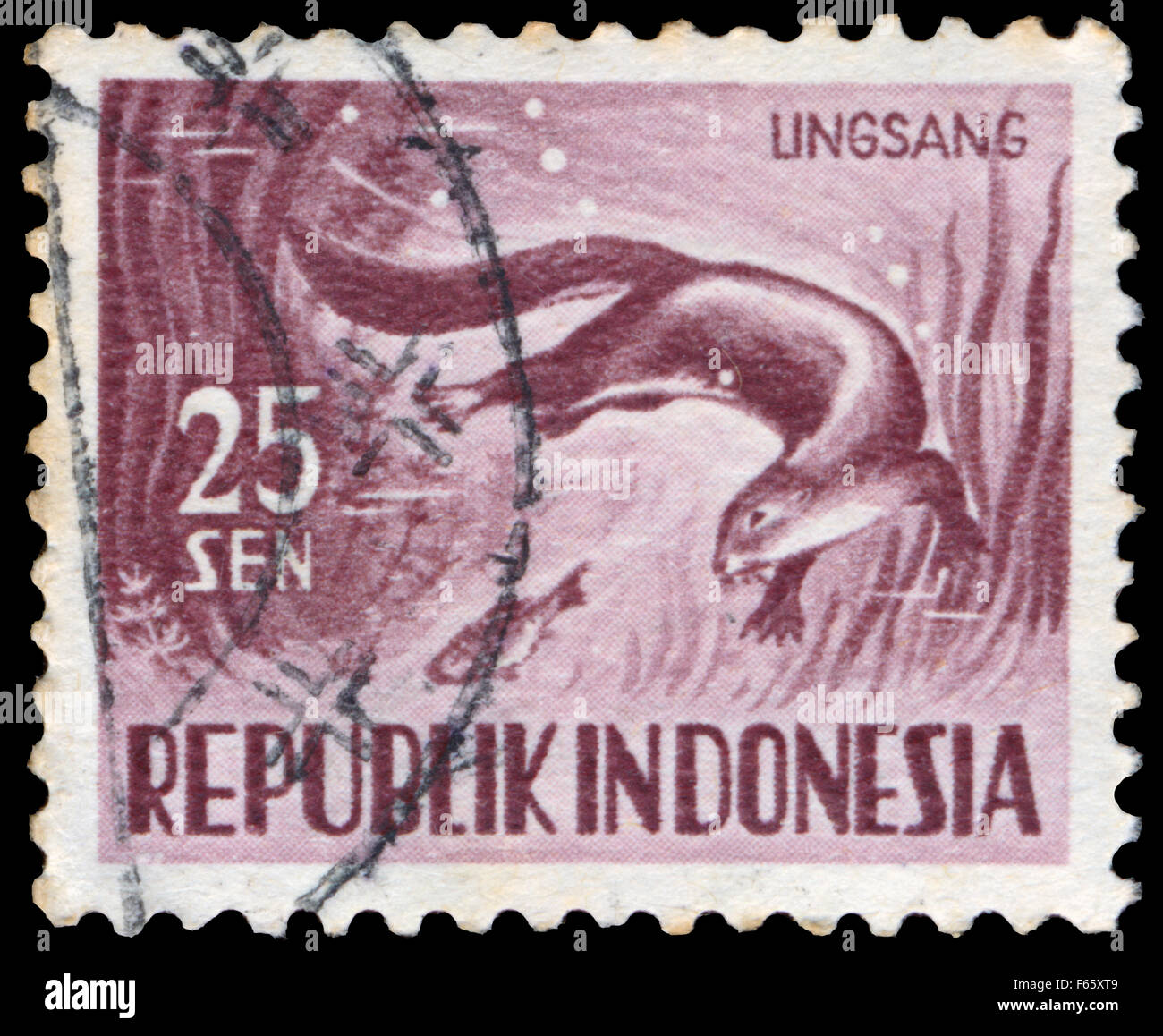 Indonésie - circa 1956 : timbres en Indonésie, spectacles, animaux série Cerdocyon perspicillata, vers 1956 Banque D'Images