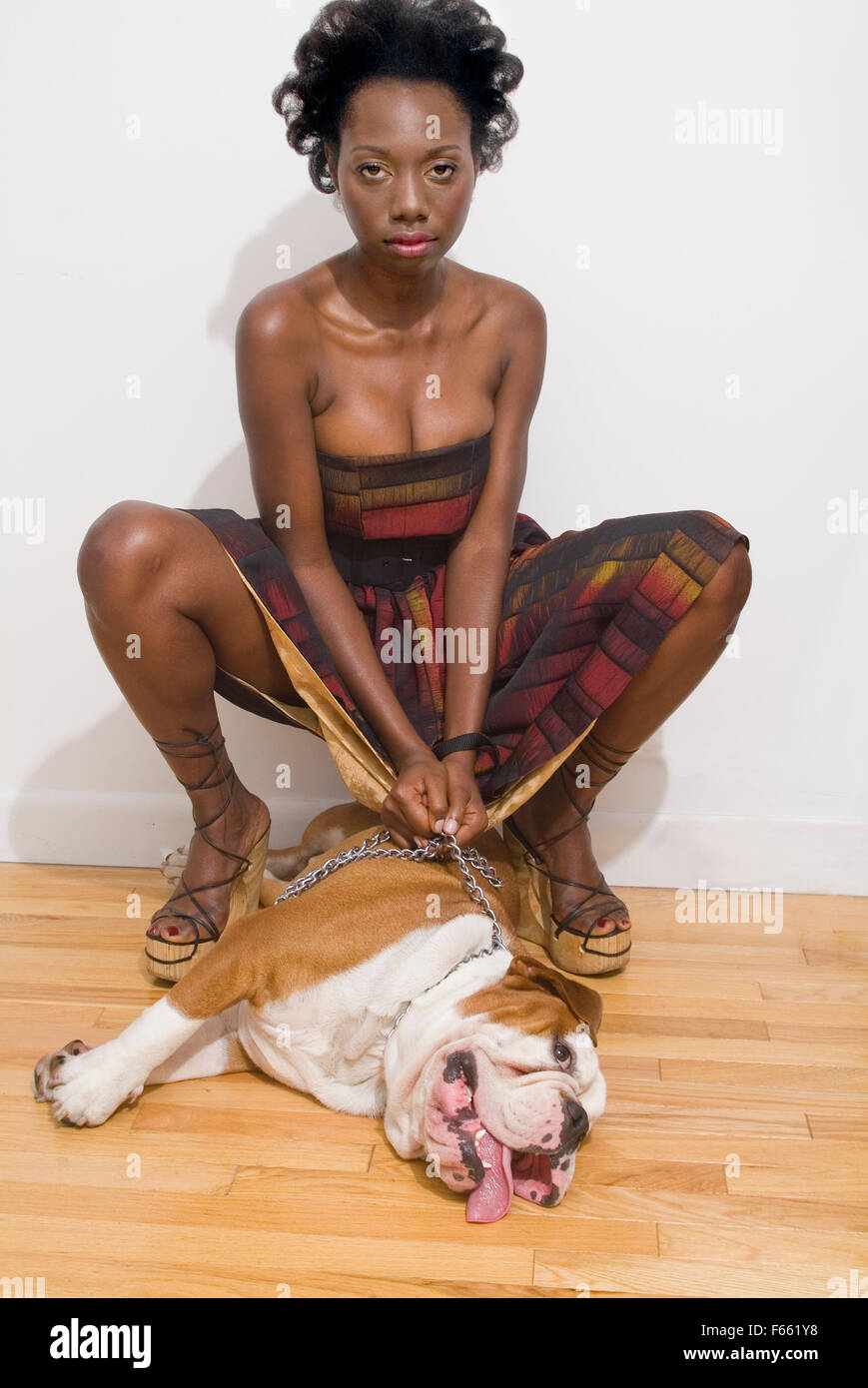 Modèle afro-américain sur un bull dog français dans une chambre. Banque D'Images