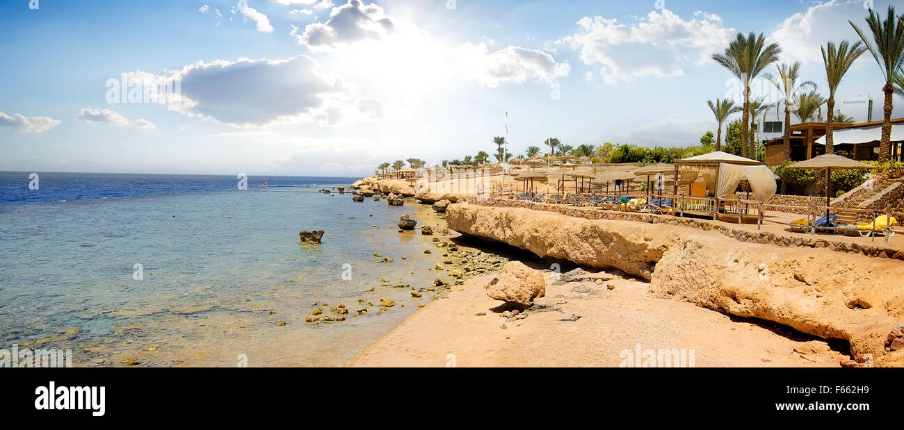 Les récifs coralliens sur plage de la mer Rouge Banque D'Images