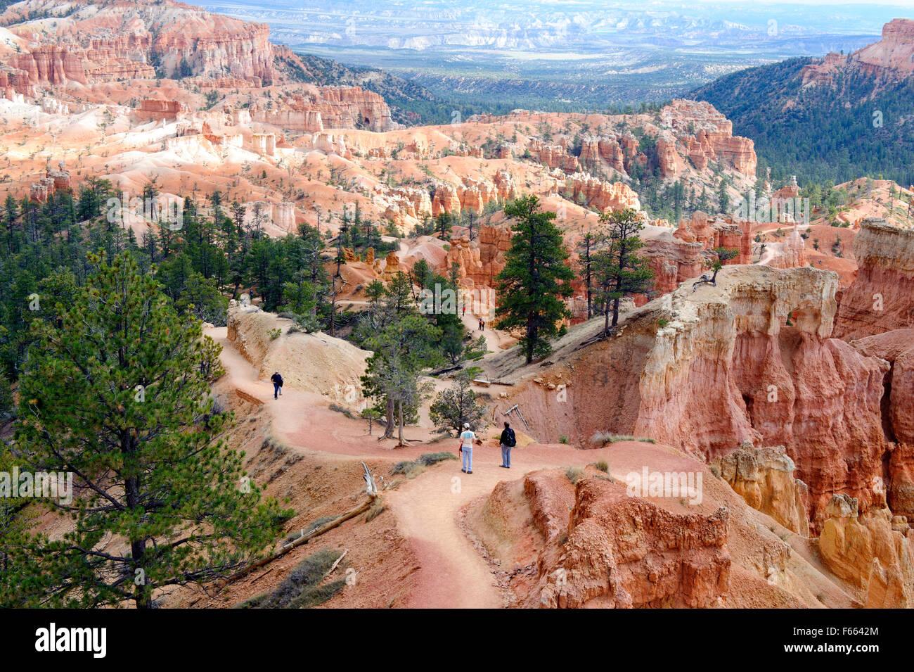 Les randonneurs de Queen's Garden Trail, Bryce Canyon National Park, Utah. Banque D'Images