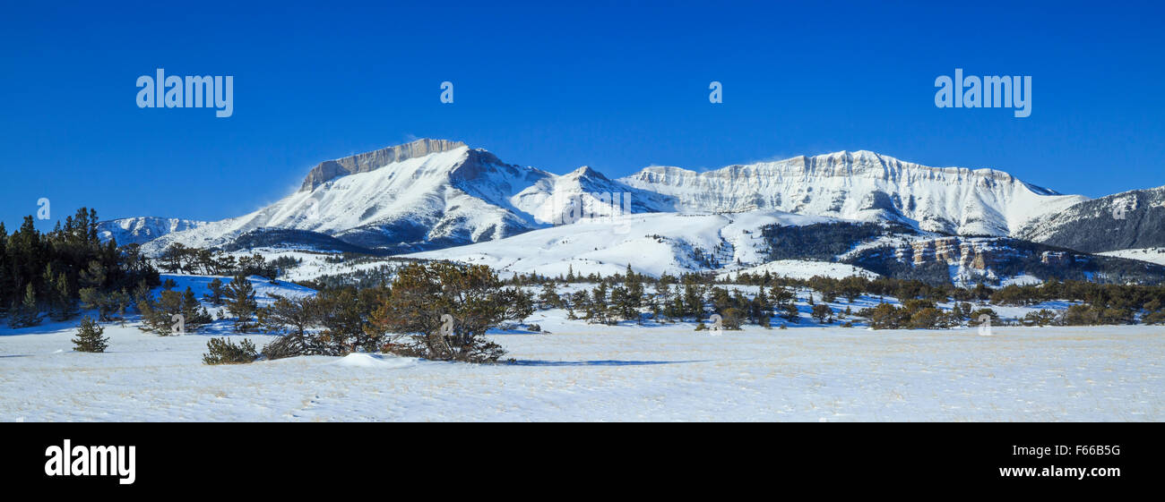 panorama de la montagne d'oreille le long du front de montagne rocheux en hiver près de choteau, montana Banque D'Images