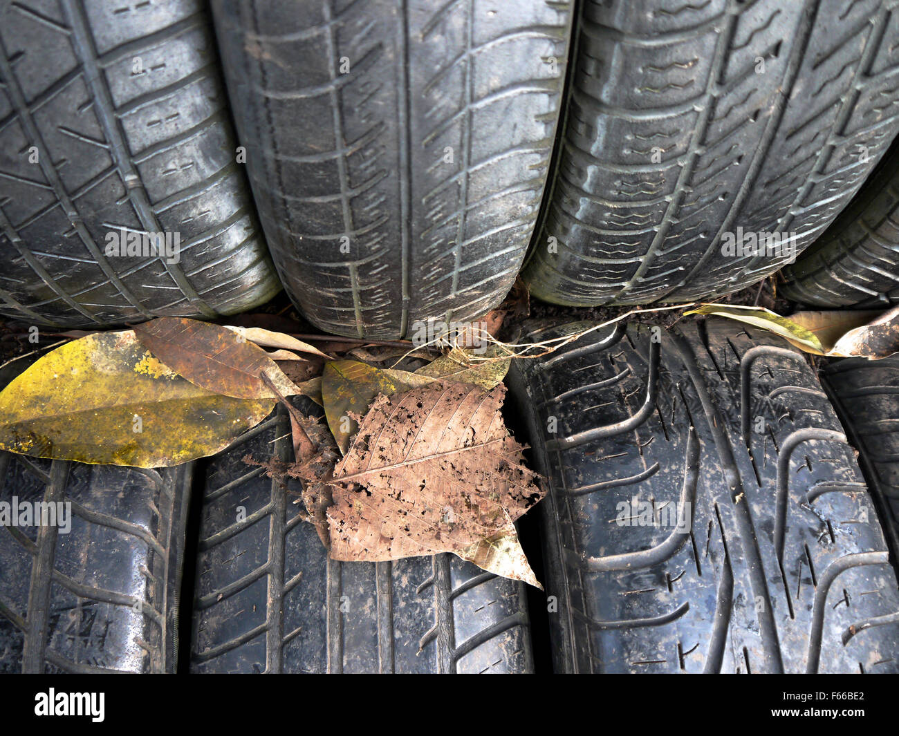 Close up de pneus en caoutchouc texturé avec des feuilles Banque D'Images