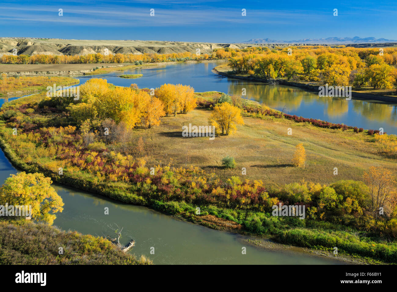 confluence des rivières missouri et marias au point de décision en automne près de loma, montana, avec les montagnes de bearpaw au loin Banque D'Images