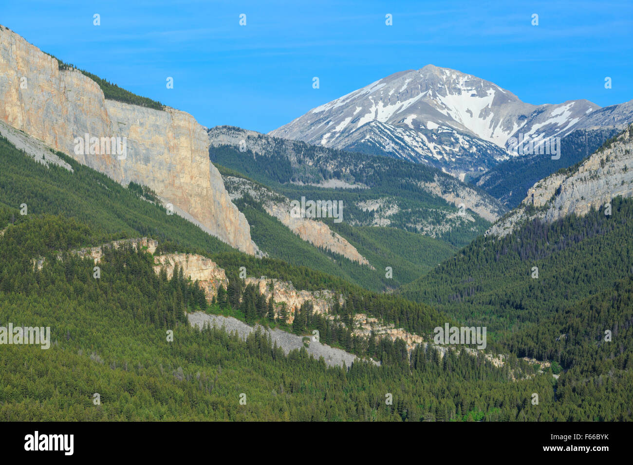 Old baldy à la source de la branche sud de la rivière teton près de choteau, Montana Banque D'Images