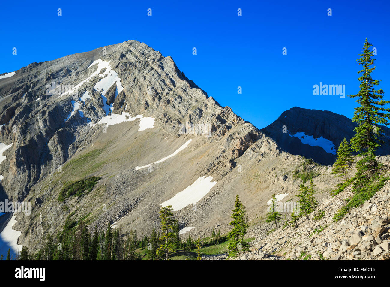 Rocky Mountain peak près du ruisseau de l'administration centrale, Lewis and Clark national forest près de choteau, Montana Banque D'Images
