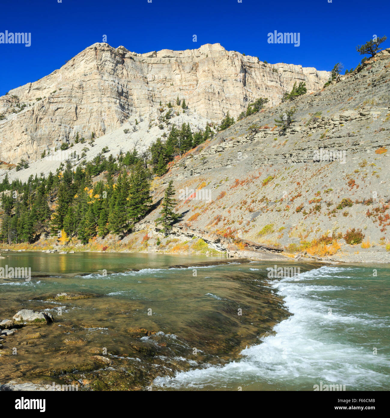 Rapides sur le sun river canyon en dessous du réservoir gibson le long de la rocky mountain/près de augusta, Montana Banque D'Images