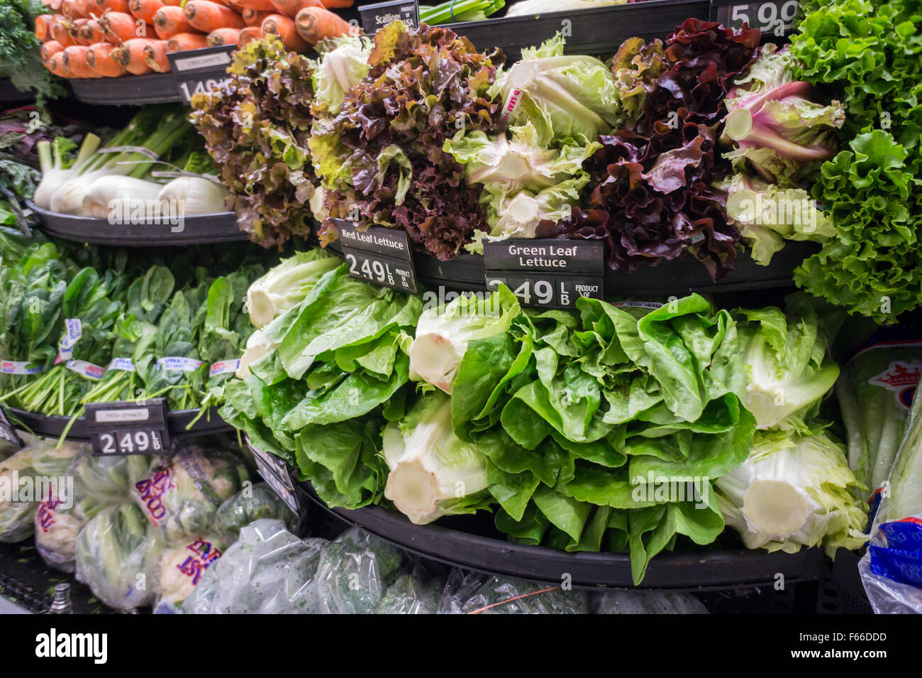 Carteles de escaparates de supermercados precios de los alimentos Banque de photographies et d