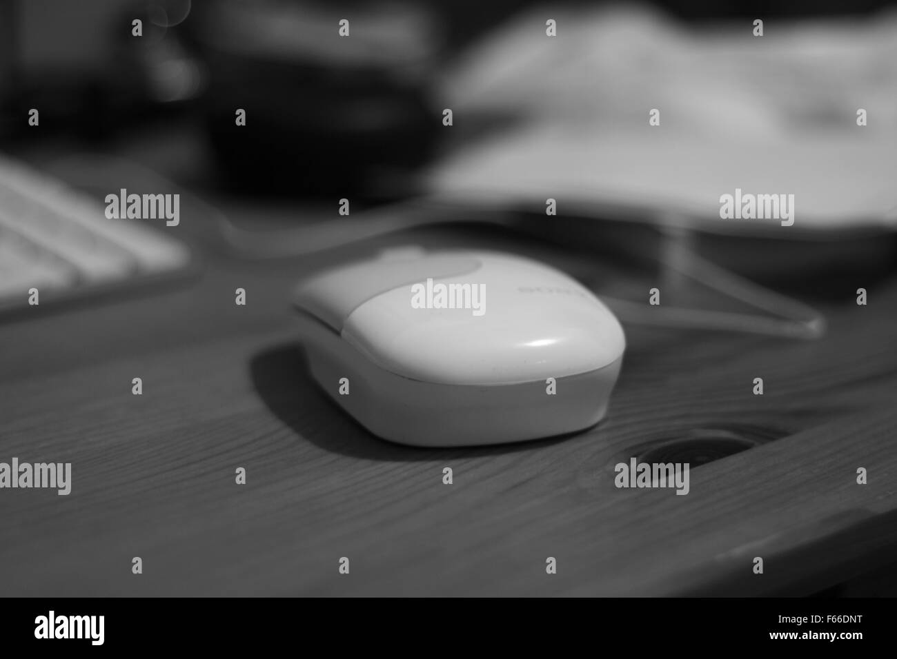 Souris avec 24 problèmes de mise au point à l'arrière-plan Banque D'Images