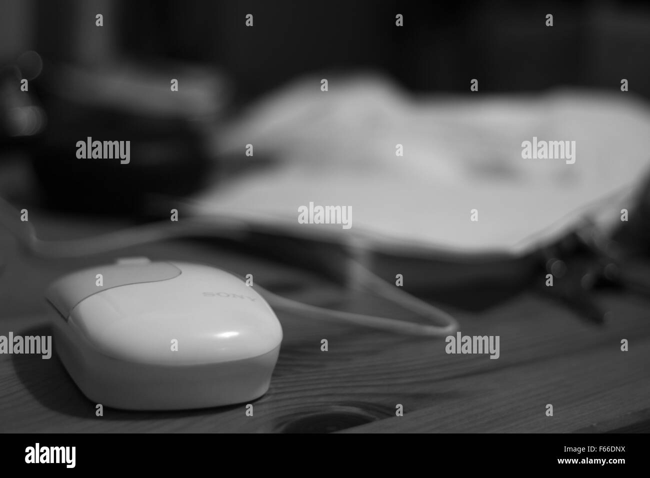 Souris avec 24 problèmes de mise au point à l'arrière-plan Banque D'Images