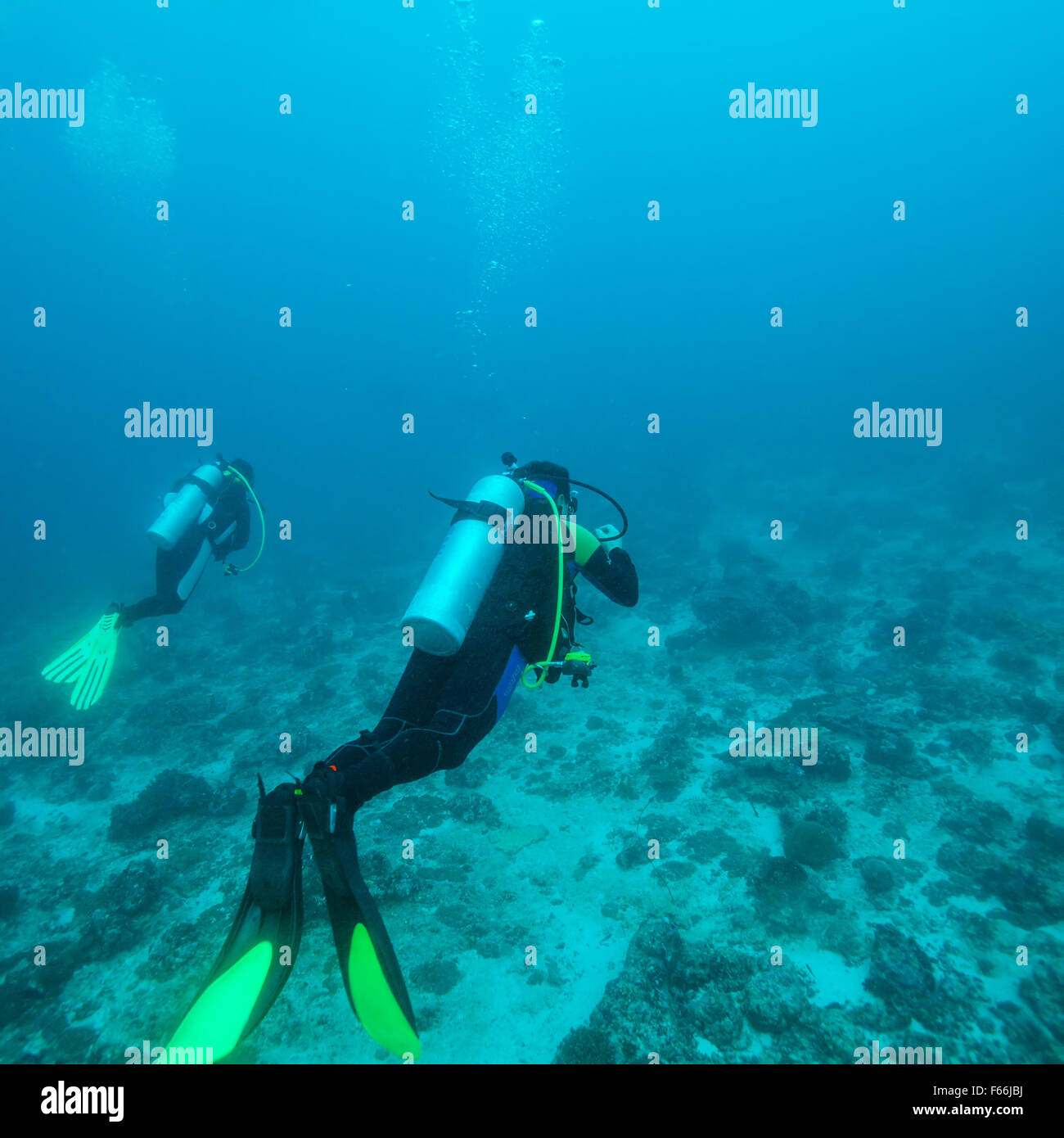 Fond sous-marin avec des silhouettes de plongeurs dans l'Ocean Blue Banque D'Images